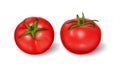 Vector illustration of a realistic style set of red fresh tomatoes with green stems Royalty Free Stock Photo