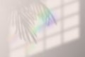 Vector illustration of realistic tropical shadow overlay effect. with rainbow lens flare. Blurred transparent soft light shadow Royalty Free Stock Photo