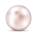 Realistic white pink pearl with shadow. Shiny oyster pearl for luxury accessories. Sphere shiny sea pearl. Royalty Free Stock Photo