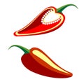 Vector illustration. Red bright chili, whole and cut, isolated over white background.