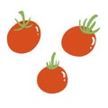 Vector illustration of red tomato. Fresh vegetable in cartoon flat style. Vegie set isolated on white background