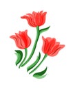 Vector illustration of red tulips. Royalty Free Stock Photo