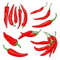 Vector illustration of red vegetables of cayenne hot pepper on a white background