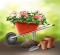 Wheelbarrow with flowers