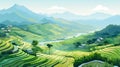 vector illustration of rice terraces