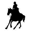 Vector illustration, rider controls running horse, competition dressage Royalty Free Stock Photo