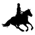 Vector illustration, rider controls running horse, competition dressage Royalty Free Stock Photo