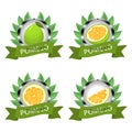 Vector illustration for ripe fruit green pomelo