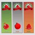 Vector illustration for ripe fruit red pomegranate