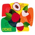 Vector illustration of ripe lychee fruits on abstract background. eco concept for natural lychee fruit label