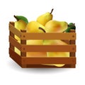 1649 pears, illustration, ripe pears in a wooden box, isolate on a white background, autumn fruits