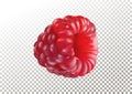 Vector illustration of ripe realistic raspberry on transparent background.