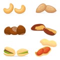 Vector illustration for ripe set nuts