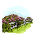 Vector illustration of a rose Bush behind a fence, watercolor Royalty Free Stock Photo