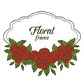 Vector illustration rose red floral frames isolated white backdrop Royalty Free Stock Photo