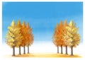 Vector illustration. Rows of golden yellow ginkgo trees