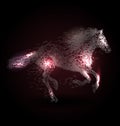 Vector illustration of a running horse on dark background Royalty Free Stock Photo