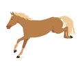 Vector illustration of a running and jumping horse in beige color isolated Royalty Free Stock Photo