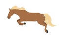 vector illustration of a running and jumping horse in brown color isolated on a white background. Royalty Free Stock Photo