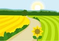 Vector illustration of a rural landscape with green and yellow fields, blue sky, winding road and forest