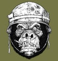 Vector illustration of 70`s Gorilla / Monkey Soldier