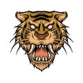 Vector Illustration Of Sabre Tooth Tiger