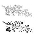 Vector illustration Sakura Flower,Nice Peach blossom isolated vector.Japanese floral.