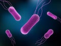 Vector of Salmonella Bacteria for medicine concept Royalty Free Stock Photo