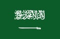 Vector illustration. Saudi Arabia flag to print.