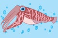 Cartoon of the cuttlefish squid sailling in water