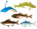 Vector illustration sea and seagoing commercial fish