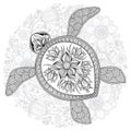 Vector illustration of sea turtle for Coloring book pages Royalty Free Stock Photo