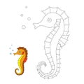Vector illustration of seahorse for toddlers