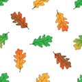 Seamless pattern from oak leaves. Vector illustration of a seamless background from autumn oak leaves. Hand drawn autumn leaves Royalty Free Stock Photo