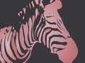 Vector illustration of seamless colorful zebra,