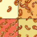 Vector illustration of seamless paisley pattern set