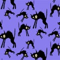 Vector illustration seamless pattern with angry black cats isolated on purple background Royalty Free Stock Photo