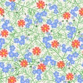 Vector illustration of seamless pattern with blue and red flowers.