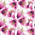 Vector illustration, seamless pattern, bouquet of lilies, Royalty Free Stock Photo