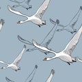 Illustration of Seamless pattern of drawing Flying flock Swans. Hand drawn, doodle graphic design with birds. Wrapping