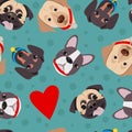 Vector illustration, seamless pattern of funny head of purebred dogs. Royalty Free Stock Photo