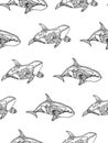 Vector illustration of seamless pattern from hand drawing patterned killer whale. Doodle Orca. Coloring page book anti stress