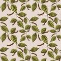 Vector Illustration seamless pattern with hand drawn peppercorn plants. Botanical background with pepper leaves and seeds.