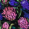 Vector Illustration Of A Seamless Pattern With Large Blue And Pink Buds Of A Protea Flower. Large Decorative Flowers On A Dark