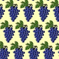 vector illustration, seamless pattern, multicolored bunch of grapes with leaves on a white background Royalty Free Stock Photo