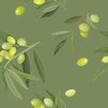 Vector illustration of a seamless pattern of olive branches and fruits in cartoon style on green. Packaging design, wrappers for Royalty Free Stock Photo