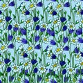 Vector illustration, seamless pattern, pale blue daisies and blue cornflowers on a blue, for textiles and paper Royalty Free Stock Photo