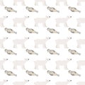 Vector illustration. Seamless pattern with polar nordic animals. seal and white bear Royalty Free Stock Photo