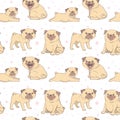 Seamless vector pattern with pugs.