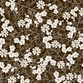 Vector illustration of seamless white and brown flower pattern